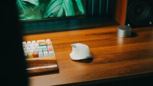 Which Personally Owned Peripherals Can You Use With GFE?